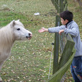 100_0516.jpg